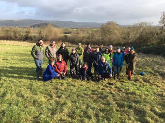 plant-tree plant-tree