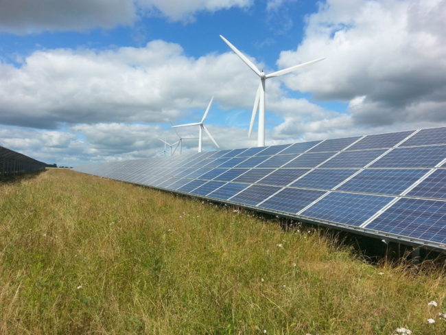 ecological-monitoring