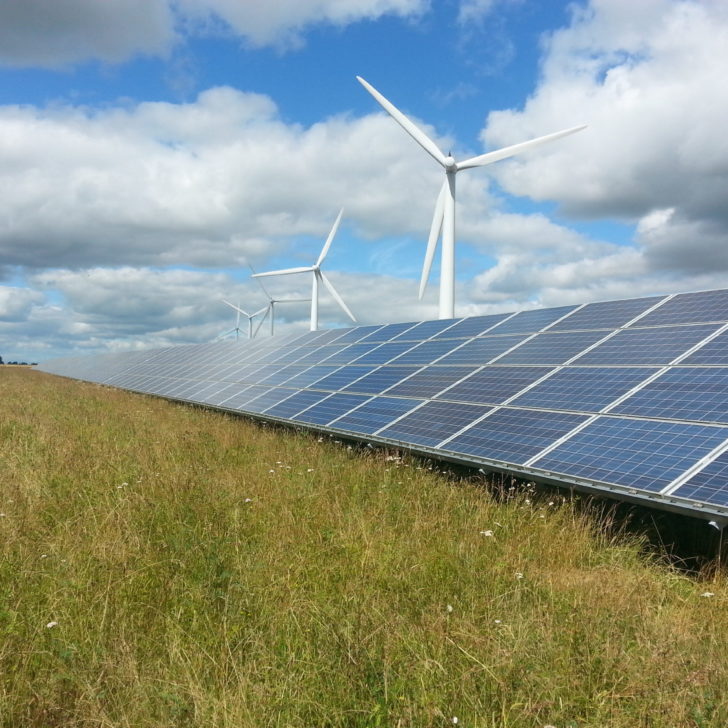 ecological-monitoring