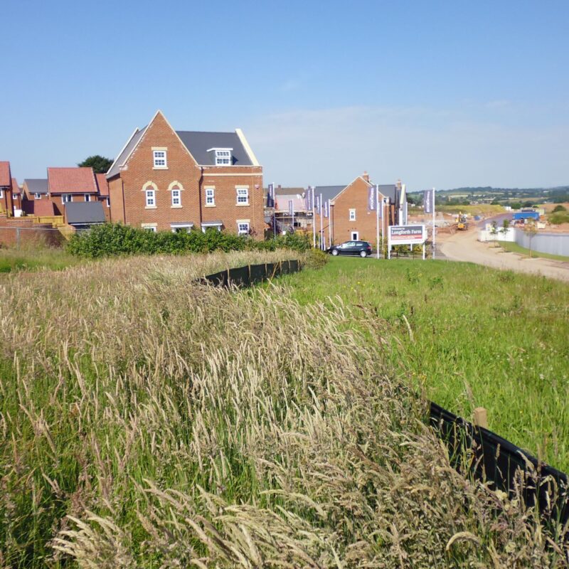 housing_development_ecology